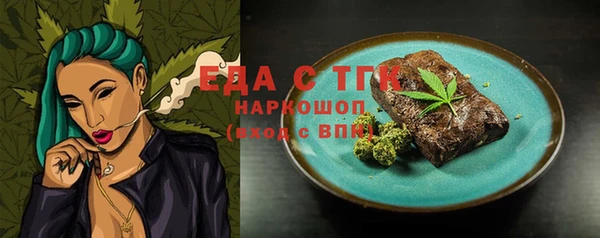 индика Бронницы
