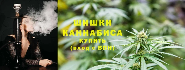 индика Бронницы