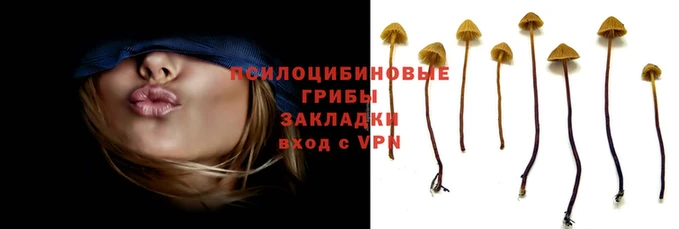 тгк Богданович