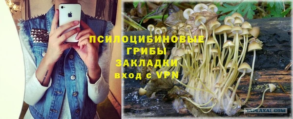 тгк Богданович