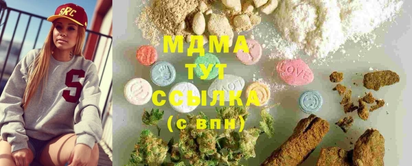 индика Бронницы