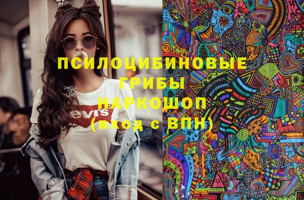 ECSTASY Белокуриха