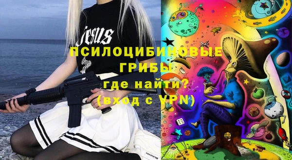 синтетический гашиш Богородицк