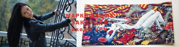 индика Бронницы